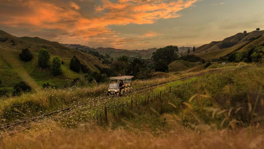 Taumarunui: Forgotten World Rail Cart Tour with Lunch - From Okahukura to Tokirima by rail cart
