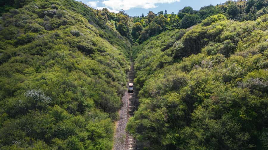Taumarunui: Railcart and Jetboat Adventure with lunch - Why this Taumarunui day trip feels different