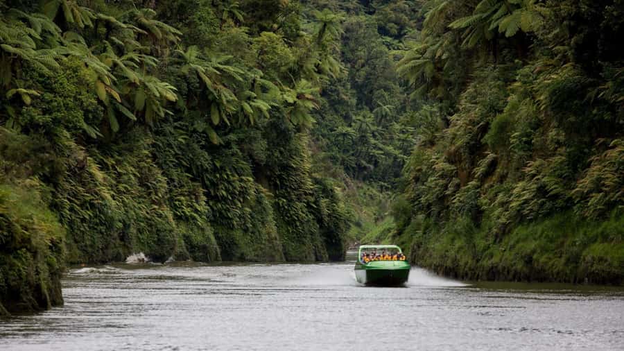 Taumarunui: Railcart and Jetboat Adventure with lunch - Riding the Forgotten World rail cart from Okahukura