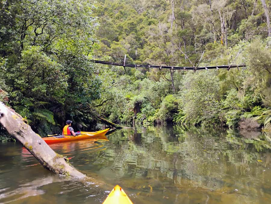 Taupō: Hidden Lake Kayak Tour with Sunken Forest Views - Key points at a glance