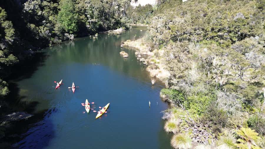 Taupō: Hidden Lake Kayak Tour with Sunken Forest Views - Why this Taupō kayak tour feels different