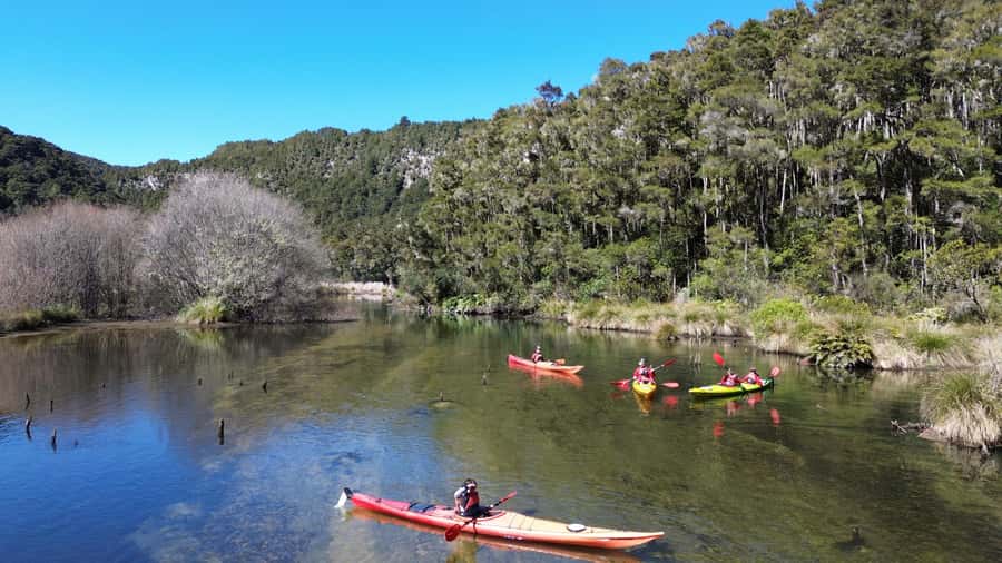 Taupō: Hidden Lake Kayak Tour with Sunken Forest Views - The 30-minute safety briefing