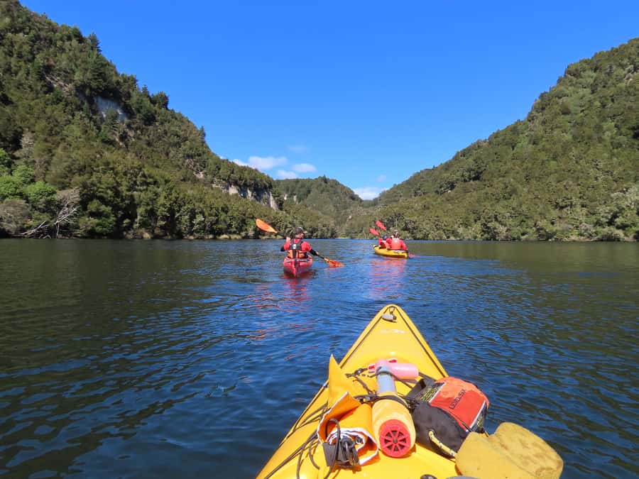 Taupō: Hidden Lake Kayak Tour with Sunken Forest Views - Two and a half hours over the sunken forest