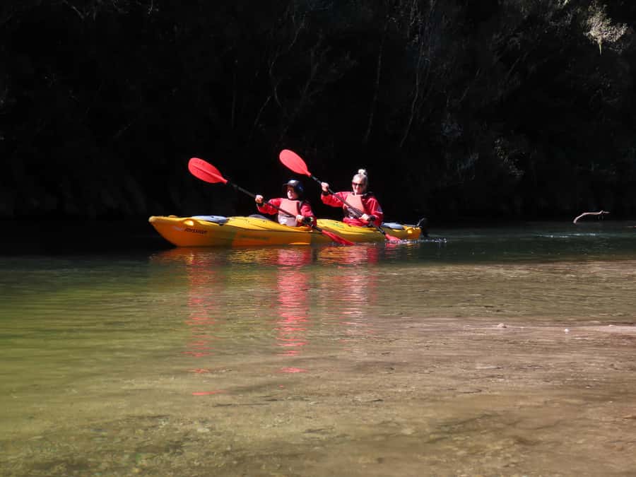Taupō: Hidden Lake Kayak Tour with Sunken Forest Views - How the timing affects the value
