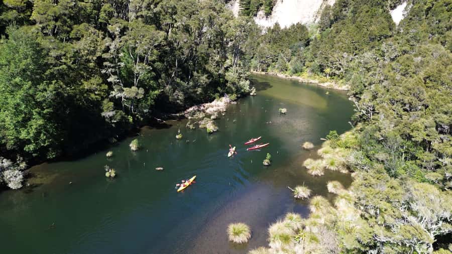 Taupō: Hidden Lake Kayak Tour with Sunken Forest Views - Booking flexibility and practical limits