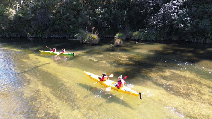 Taupō: Hidden Lake Kayak Tour with Sunken Forest Views - From Canoe & Kayak Taupo to the water