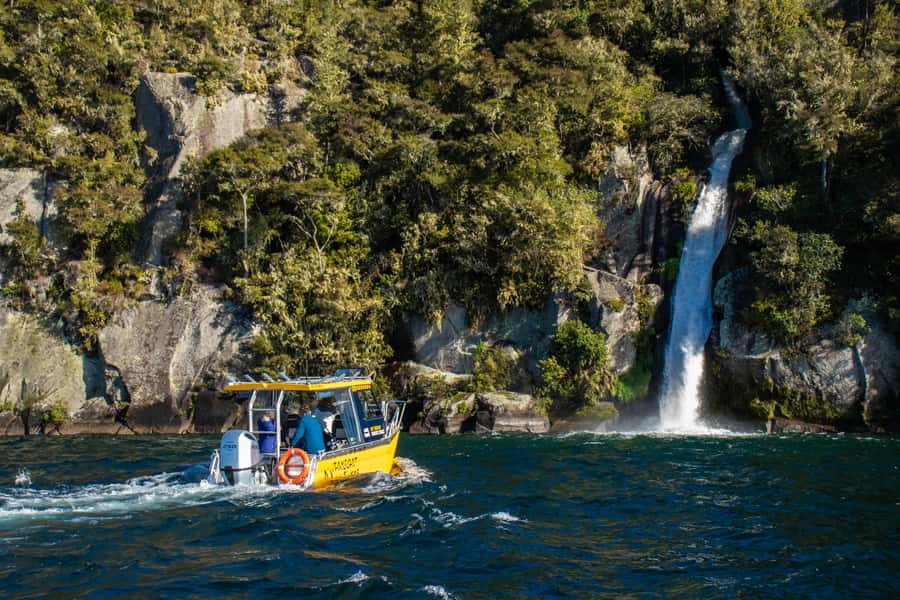 Taupo: Lake Taupo Western Bays Catamaran Tour with Bush Walk - Key points to know before you book