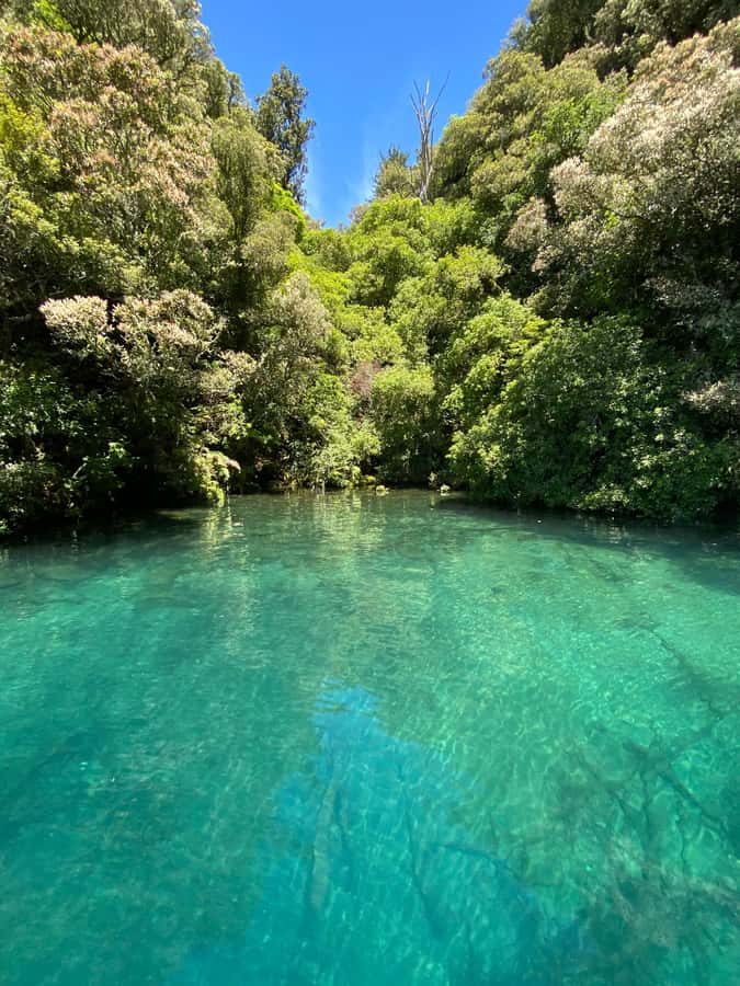 Taupo: Lake Taupo Western Bays Catamaran Tour with Bush Walk - Practical booking advice from the departure point