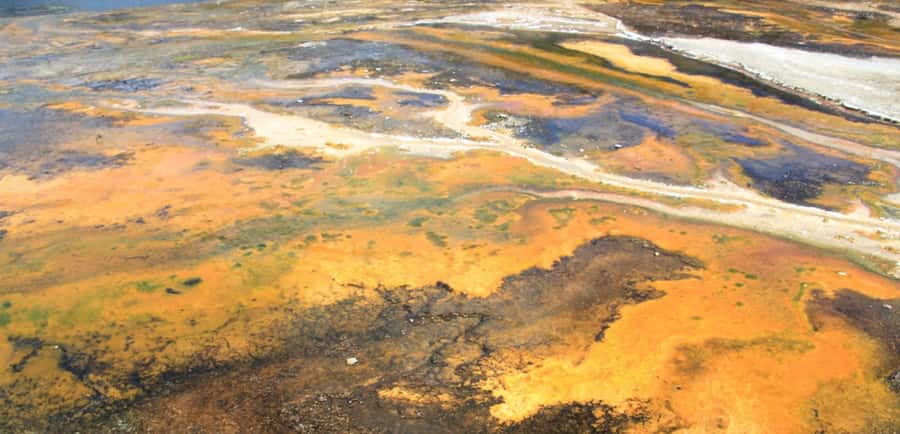Taupo: Orakei Korako Geothermal Park and Cave Entry Ticket - Who will enjoy this park most?