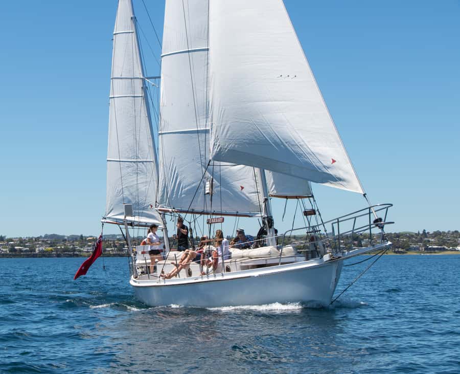 Taupō: Sail Barbary Eco Sailing to the Maori Rock Carvings - Practical packing advice for Lake Taupō