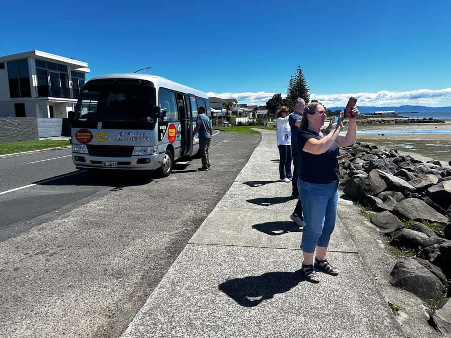 Tauranga City & Scenic Sightseeing 2-hour Local Tour - The scenic lookout and its long views