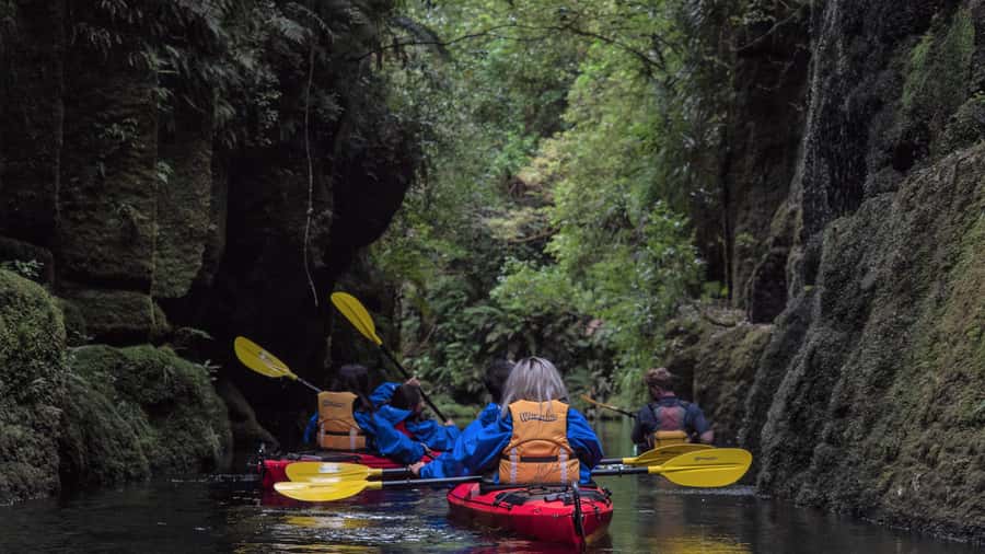 Tauranga: Daytime Scenic Lake McLaren Kayak Tour - Key points at a glance