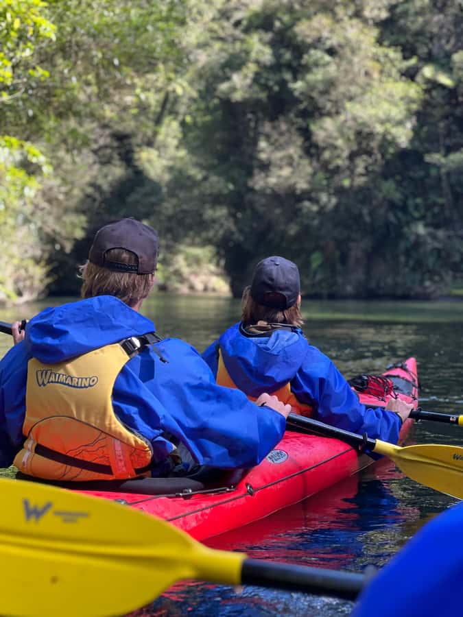 Tauranga: Daytime Scenic Lake McLaren Kayak Tour - Timing and booking advice