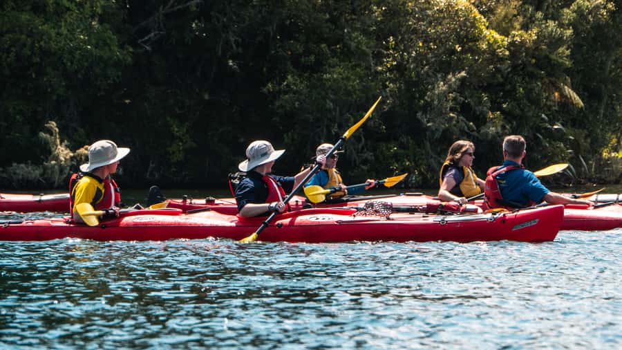 Tauranga: Daytime Scenic Lake McLaren Kayak Tour - Getting ready for an easy paddle