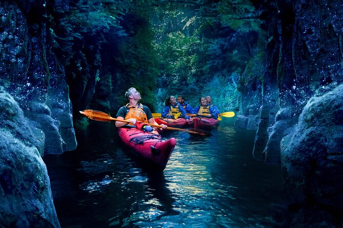 Tauranga: Evening Glowworm Kayak Tour - Refreshments beside Lake McLaren