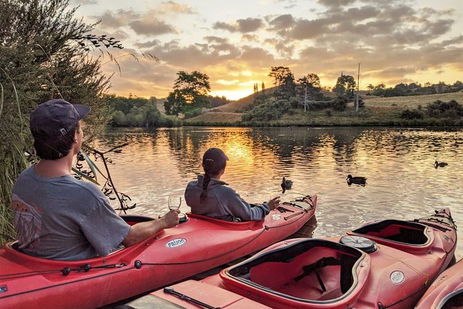 Tauranga: Evening Glowworm Kayak Tour - Entering the glow-worm canyon