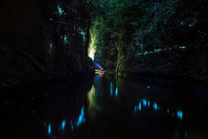 Tauranga: Evening Glowworm Kayak Tour - Is €136.05 good value?