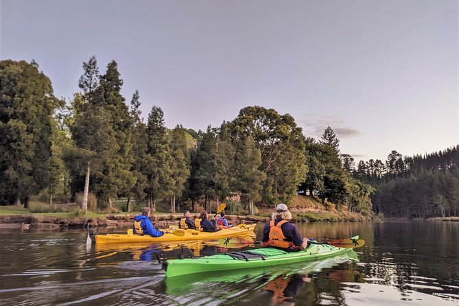 Tauranga: Evening Glowworm Kayak Tour - Te Reka O Te Whenua, a taste of Aotearoa