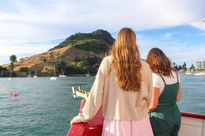 Tauranga Harbour Scenic One Hour Historical Boat Cruise - The Port of Tauranga and the working waterfront