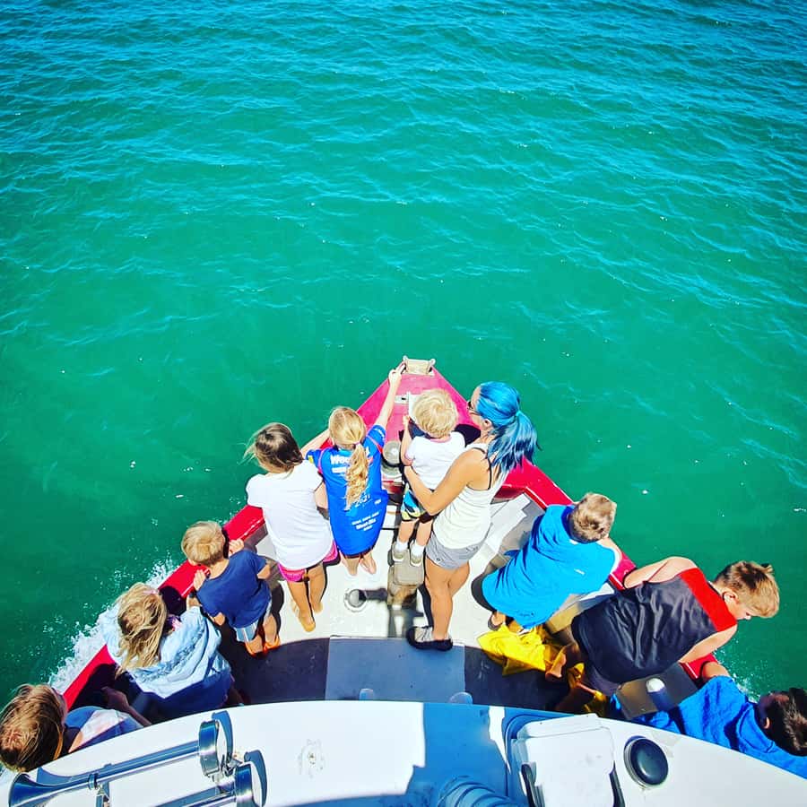 Tauranga: Mount Maunganui Harbour Sightseeing Cruise - Key details to know before you go