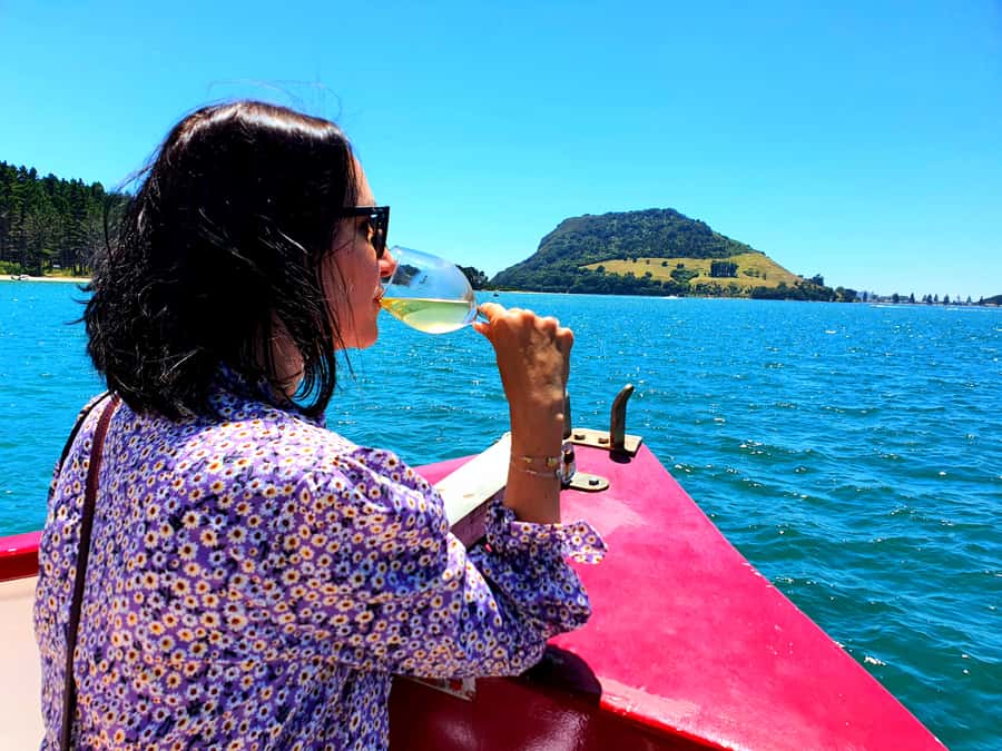 Tauranga: Mount Maunganui Harbour Sightseeing Cruise - Leaving Tauranga waterfront