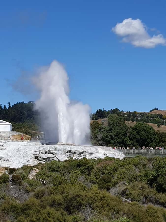 Tauranga: Rotorua Redwoods Tour & Maori Village Experience - Why this Tauranga tour makes sense from a cruise ship