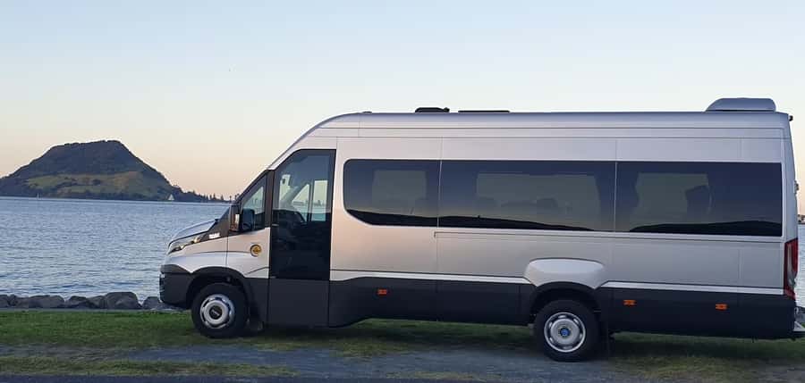Tauranga: Rotorua Redwoods Tour & Maori Village Experience - Walking above the Californian redwoods