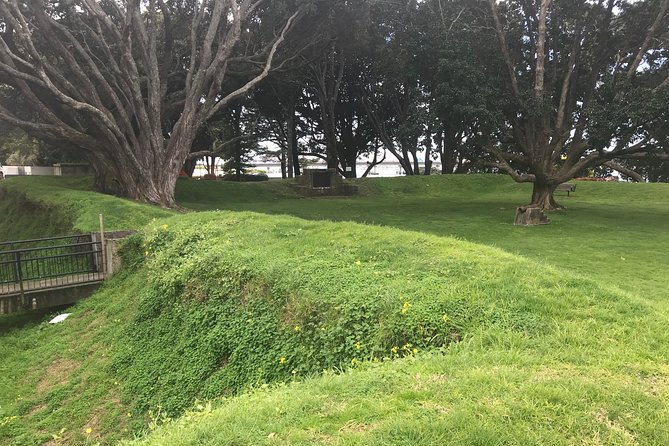 Tauranga Shore Excursion: History & Kiwifruit Tasting – 4 Hours - Tea, lunch, and local produce