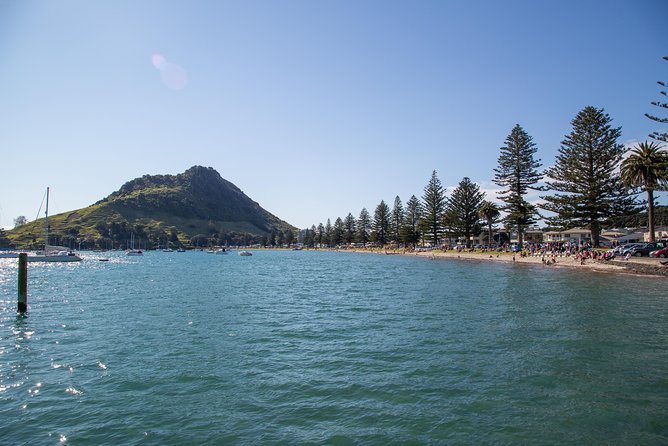 Tauranga Shore Excursion: History & Kiwifruit Tasting – 4 Hours - Tauranga harbour, the bridge, and the working port