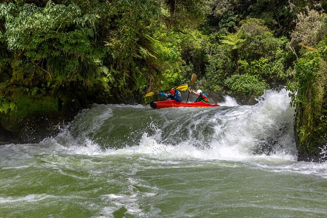 Tauranga Shore Excursion: Rotorua Highlights - Key points to know before you book