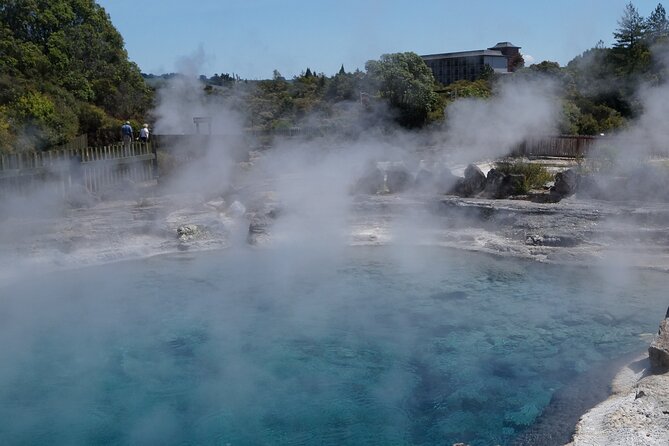 Tauranga Shore Excursion: Rotorua Highlights - Te Puke and the taste of New Zealand’s kiwi industry