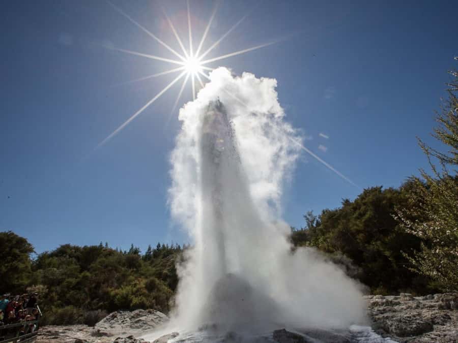Tauranga: Wai-o-Tapu with Redwood Forest Walk or Forest Spa - Five things that make this Tauranga tour worth considering