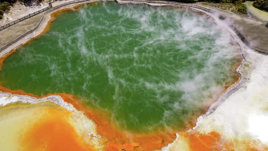 Tauranga: Wai-o-Tapu with Redwood Forest Walk or Forest Spa - From Tauranga port to Rotorua country