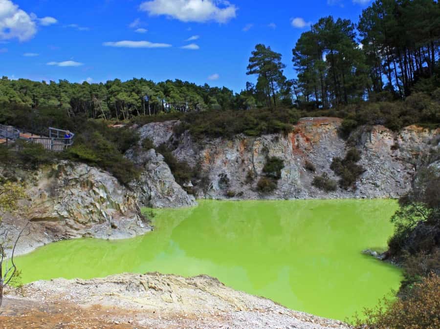 Tauranga: Wai-o-Tapu with Redwood Forest Walk or Forest Spa - The bubbling mud pools and the return route