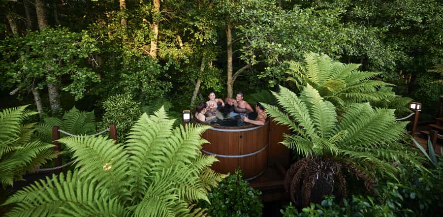 Tauranga: Wai-o-Tapu with Redwood Forest Walk or Forest Spa - What the $166 price really covers