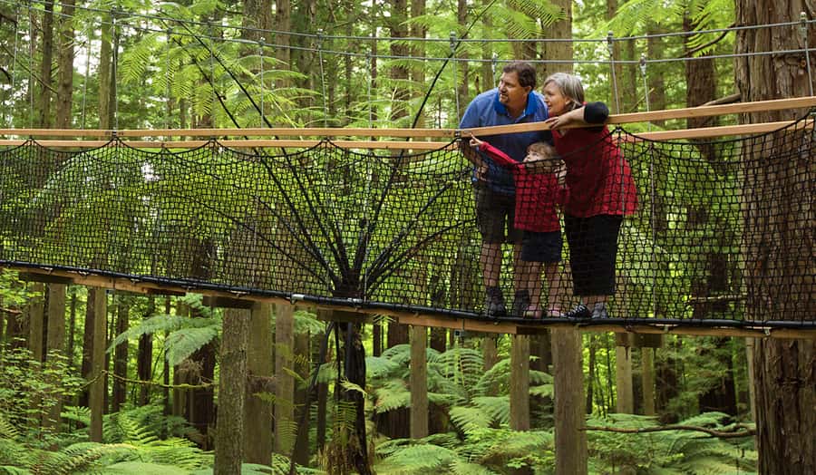 Tauranga: Wai-o-Tapu with Redwood Forest Walk or Forest Spa - FAQ