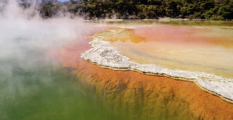 Tauranga: Wai-o-Tapu with Redwood Forest Walk or Forest Spa - Wai-o-Tapu and the drama beneath your feet