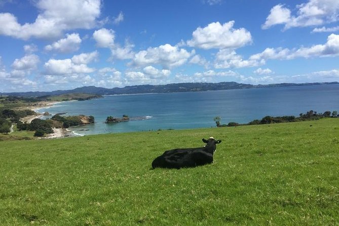 Tāwharanui- Get away from it all and experience New Zealand at its best - private tour - Key points to know before you book