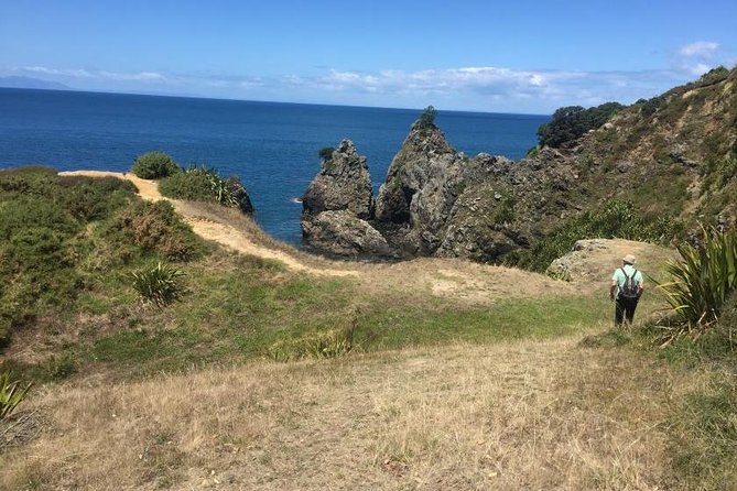 Tāwharanui- Get away from it all and experience New Zealand at its best - private tour - Why this private Auckland day trip works
