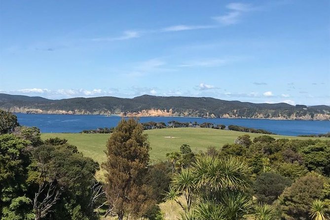 Tāwharanui- Get away from it all and experience New Zealand at its best - private tour - What the $316.49 price includes