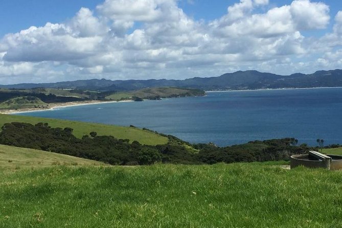Tāwharanui- Get away from it all and experience New Zealand at its best - private tour - Walking the North Coast Track at Tāwharanui