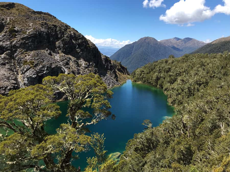 Te Anau: 30-Minute Fiordland National Park Scenic Flight - Looking Down On Hidden Lakes And Mountain Tarns