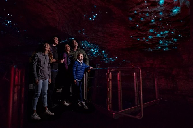 Te Anau Glow Worm Caves Tour - Crossing Lake Te Anau aboard Luminosa