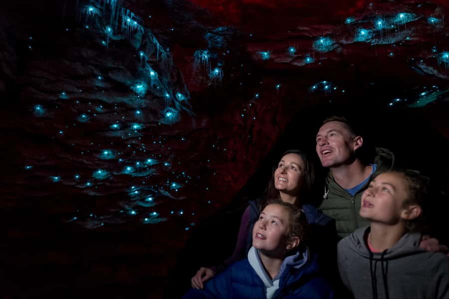 Te Anau: Glowworm Caves Guided Tour - Preparing for the cave walk