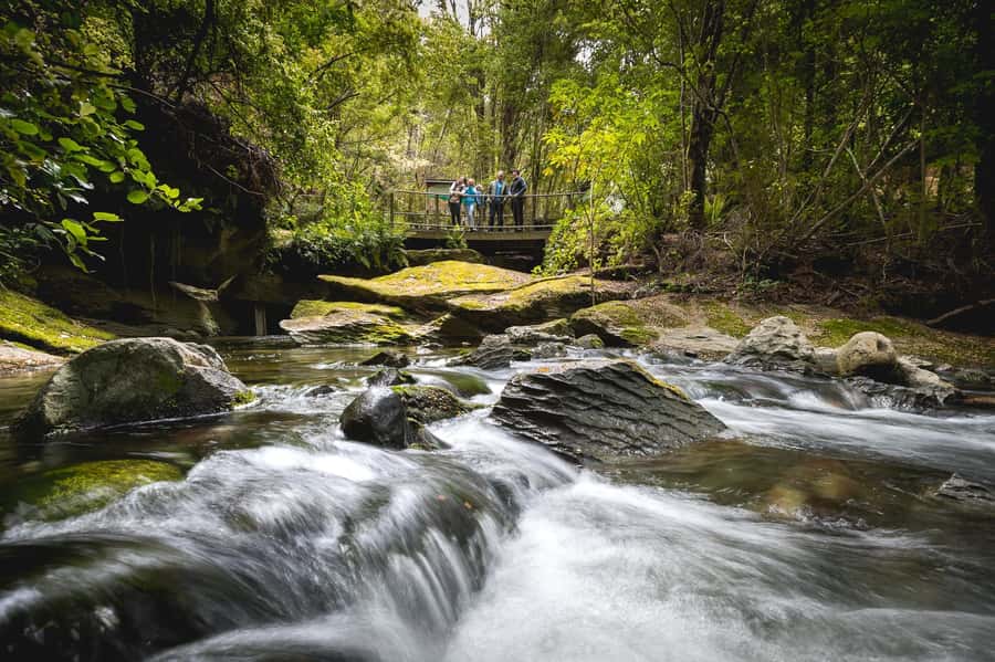 Te Anau: Glowworm Caves Guided Tour - The cave itself is a major attraction