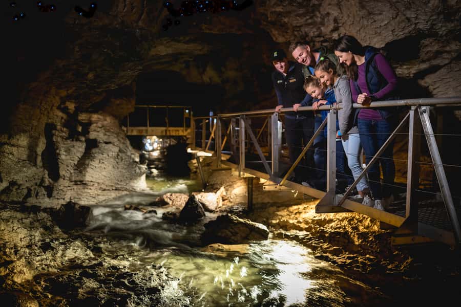 Te Anau: Glowworm Caves Guided Tour - Entering the glowworm grotto by small boat