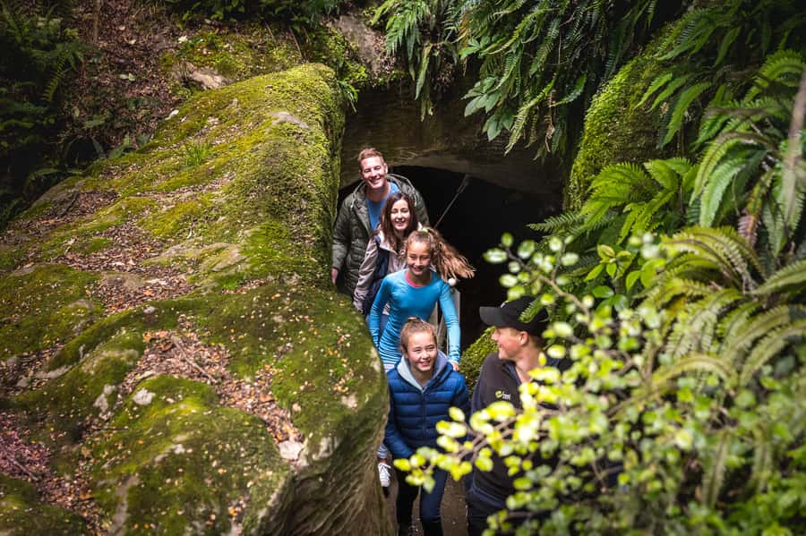 Te Anau: Glowworm Caves Guided Tour - The forest option and post-cave refreshments