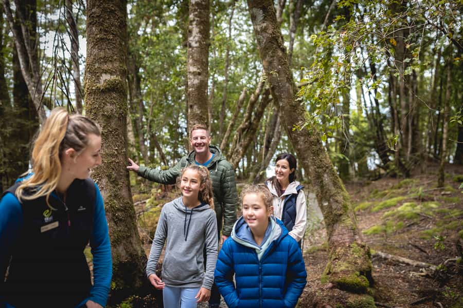 Te Anau: Glowworm Caves Guided Tour - Is $77 a fair price?