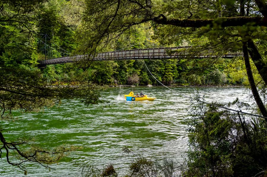 Te Anau: River Jet Boat and Bike Ride Tour with Local Guide - Final verdict: a strong choice for an active Te Anau morning