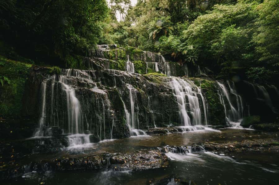 Te Anau to Dunedin via the Catlins & Invercargill 1 Way Tour - Invercargill gives you a useful pause
